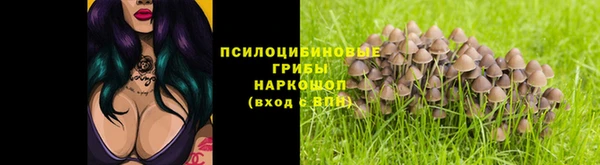 не бодяженный Дмитров