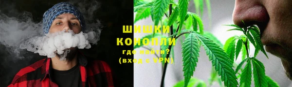 экстази Дмитриев