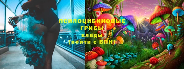не бодяженный Дмитров