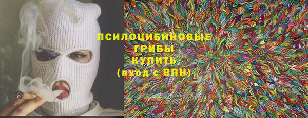 не бодяженный Дмитров